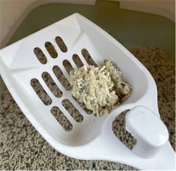 混合猫砂测评:结团除臭效果实测,性价比高值得买吗? 混合猫砂测评:结团除臭效果实测,性价比高值得买吗?