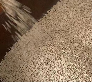 植物猫砂测评：结团除臭效果出色，但需注意品控与成分透明度