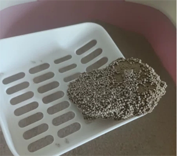 抑菌小球猫砂深度评测:结团易碎与粘底问题是否值得入手? 抑菌小球猫砂深度评测:结团易碎与粘底问题是否值得入手?