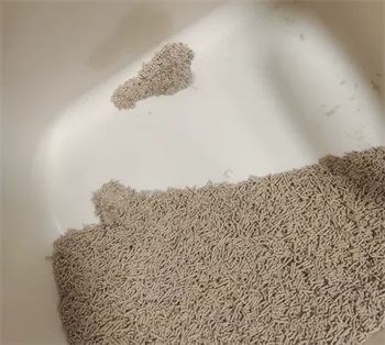 植物猫砂测评：结团除臭效果出色，但需注意品控与成分透明度