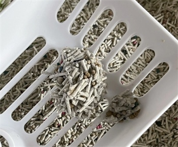 椰壳猫砂测评:粉尘少结团快,除臭效果如何? 椰壳猫砂测评:粉尘少结团快,除臭效果如何?