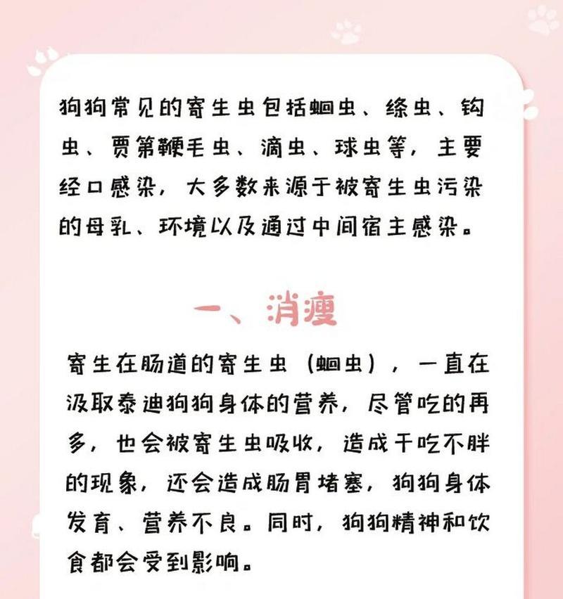 小泰迪肚子有虫的原因与预防措施详解,守护爱犬健康 小泰迪肚子有虫的原因与预防措施详解,守护爱犬健康