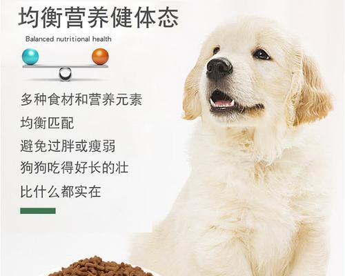 泰迪幼犬狗粮怎么选?看准营养成分为健康把关 泰迪幼犬狗粮怎么选?看准营养成分为健康把关