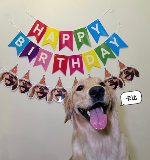 宠物狗修剪造型科学指南:频率把握与护理要点 宠物狗修剪造型科学指南:频率把握与护理要点