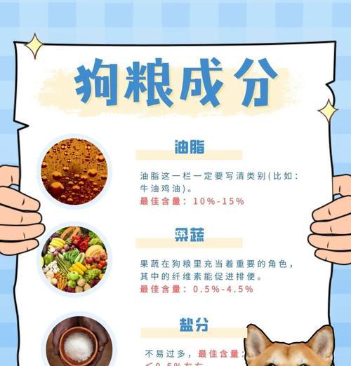 正确泡狗粮提升宠物消化吸收能力的方法与步骤详解