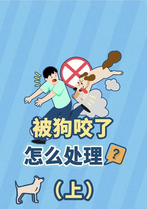 纠正狗狗攻击行为与咬人问题的有效方法指南