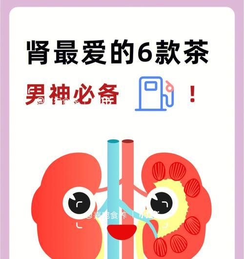 狗狗肾脏疾病预防与健康养护全指南,守护爱宠肾脏健康 狗狗肾脏疾病预防与健康养护全指南,守护爱宠肾脏健康