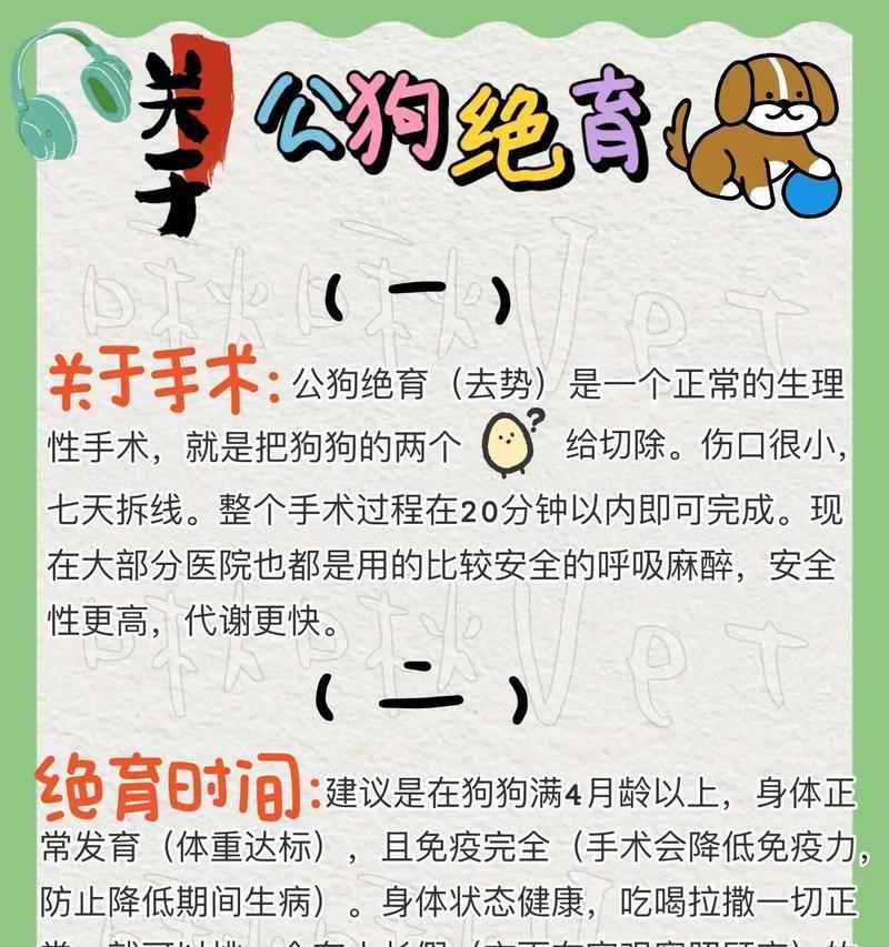 狗狗绝育手术的最佳时机与关键注意事项详解 狗狗绝育手术的最佳时机与关键注意事项详解