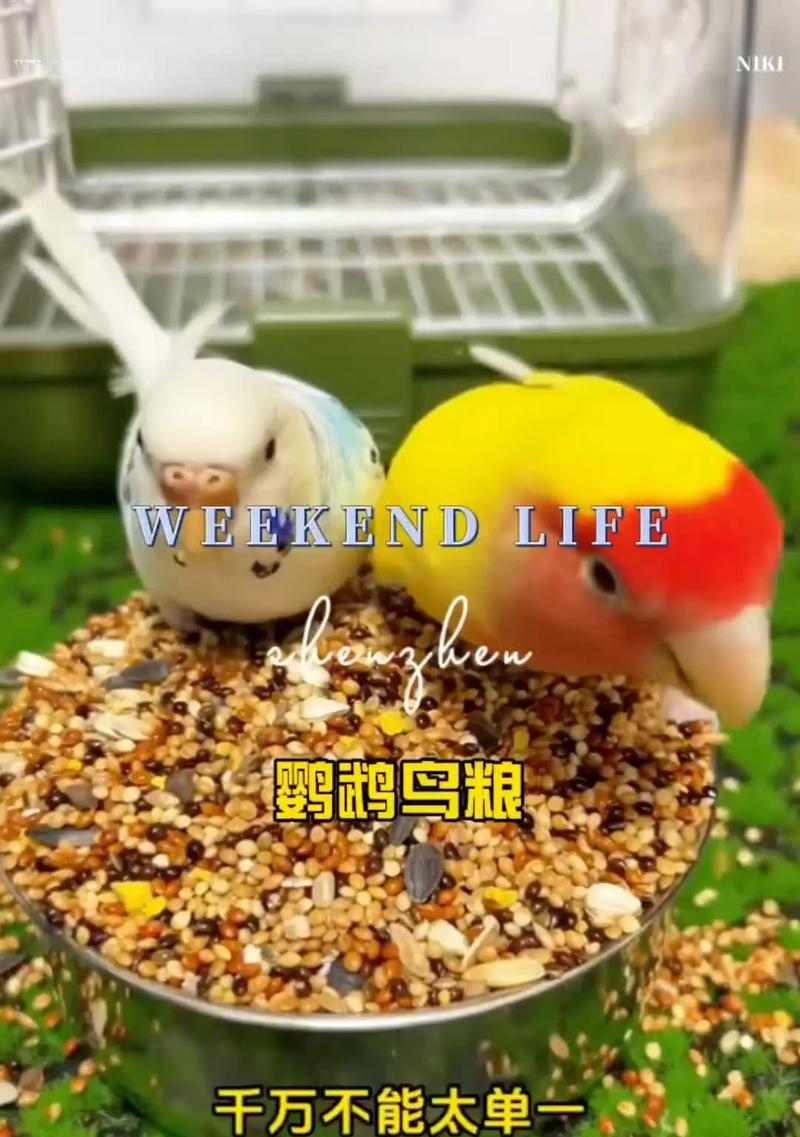 宠物资讯