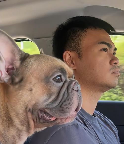 狗狗与主人的18种亲密互动方式，教你读懂宠物行为语言