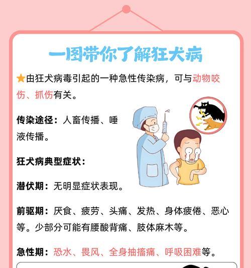宠物猫狗狂犬病的致命威胁与关键预防指南