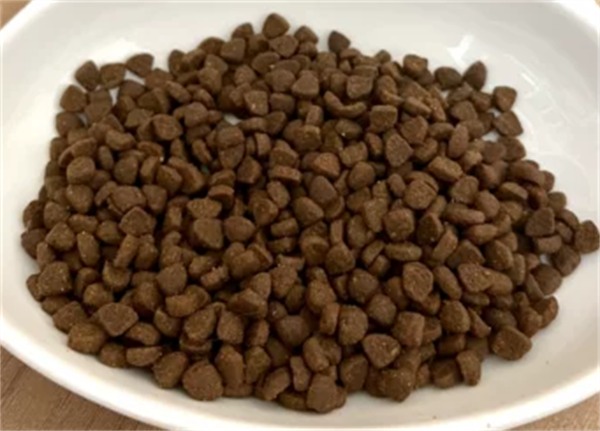 单一肉源猫粮深度评测:低敏配方与高营养密度解析 单一肉源猫粮深度评测:低敏配方与高营养密度解析