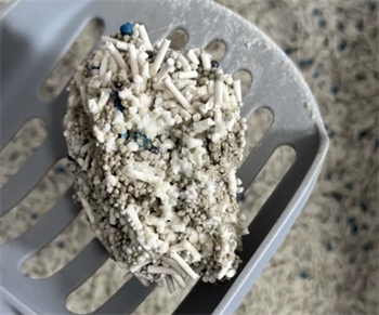 碳晶混合猫砂深度测评：除臭结团表现佳，后期使用需注意