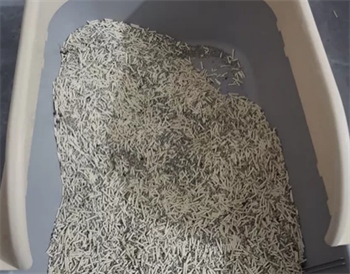 碳晶混合猫砂深度测评：除臭结团表现佳，后期使用需注意