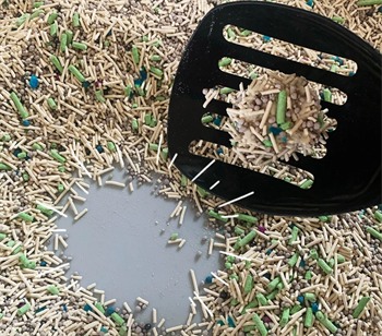 混合猫砂深度测评:结团除臭性能与性价比全面解析 混合猫砂深度测评:结团除臭性能与性价比全面解析