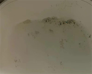 混合猫砂真实测评：结团快耗砂少，综合表现获认可