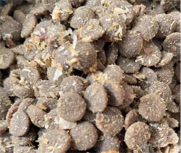 高蛋白无谷物鲜肉猫粮测评：营养配比与适口性深度解析