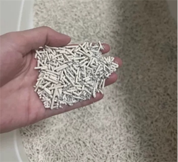 测评：颗粒细腻结团快、除臭强的高性价比混合猫砂