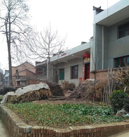 卫生间长草现象背后的心理与社会隐喻解析 卫生间长草现象背后的心理与社会隐喻解析