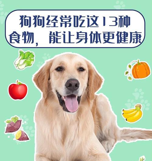 养狗的15个好处:从身心健康到情感陪伴的全面解析 养狗的15个好处:从身心健康到情感陪伴的全面解析