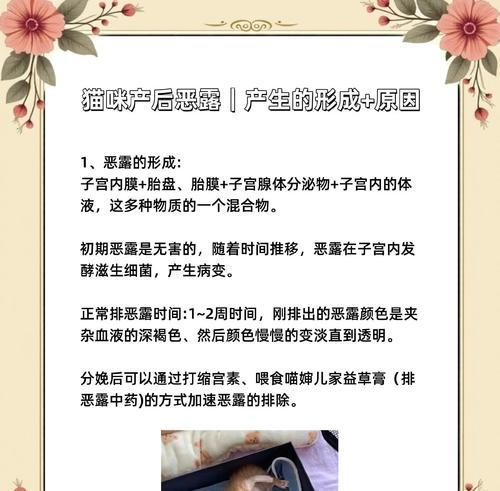 小猫产后出血正常时长与科学护理指南