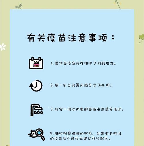 猫疫苗接种间隔与核心注意事项全指南 猫疫苗接种间隔与核心注意事项全指南