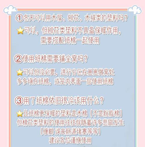 仓鼠垫料怎么选？健康影响与使用技巧全解析