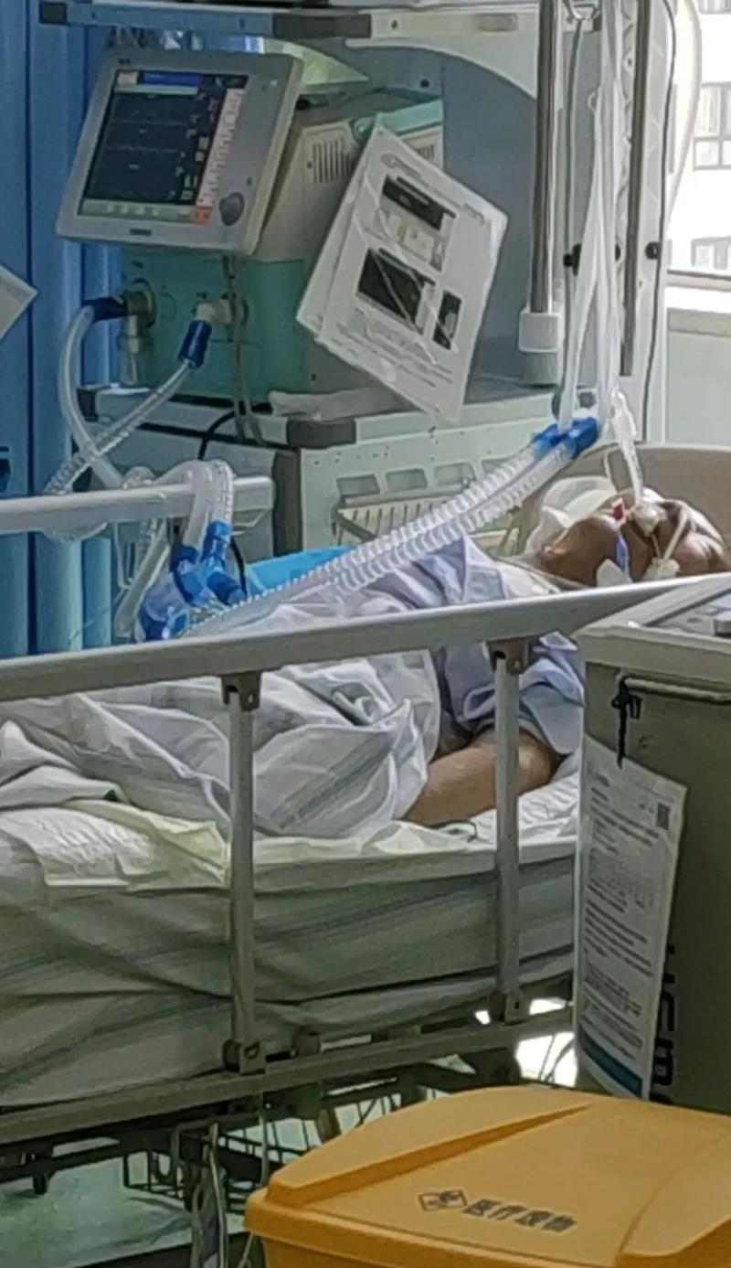 宠物生病治疗选择指南：如何权衡利弊与做出正确决策