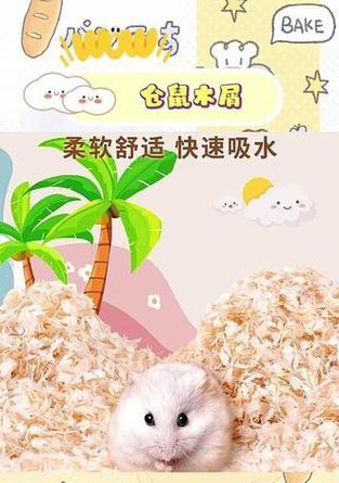 仓鼠垫料怎么选？健康影响与使用技巧全解析