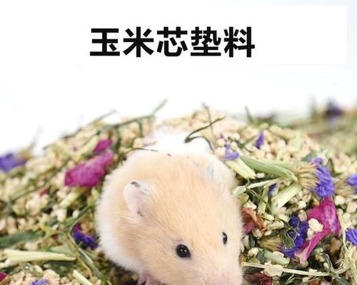 仓鼠垫料怎么选？健康影响与使用技巧全解析