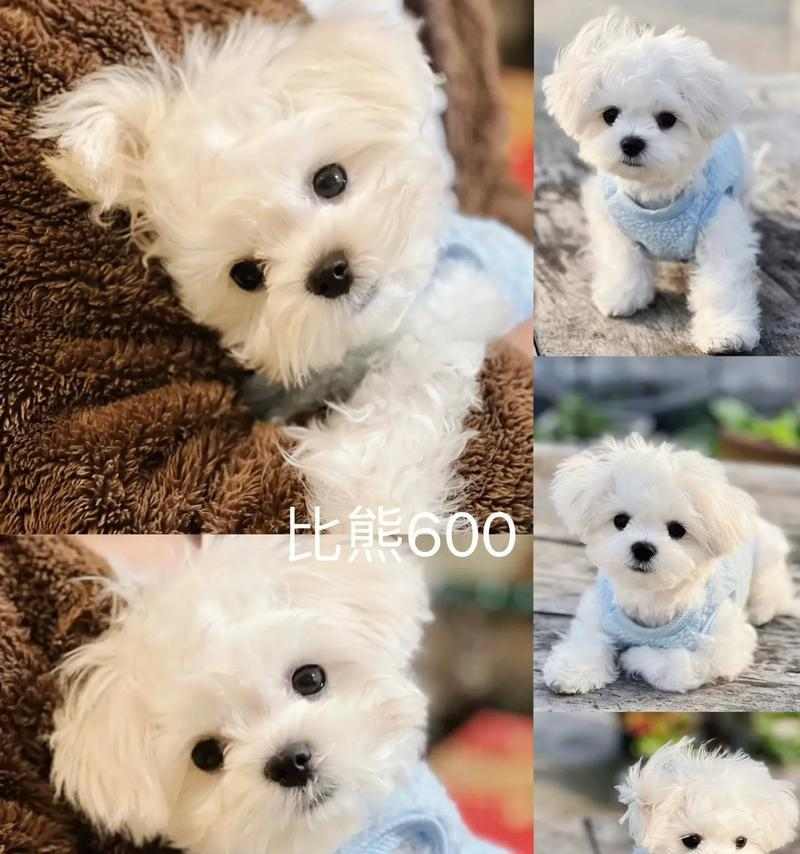 羊水破了后多久能分娩？解析影响产程时长的关键因素