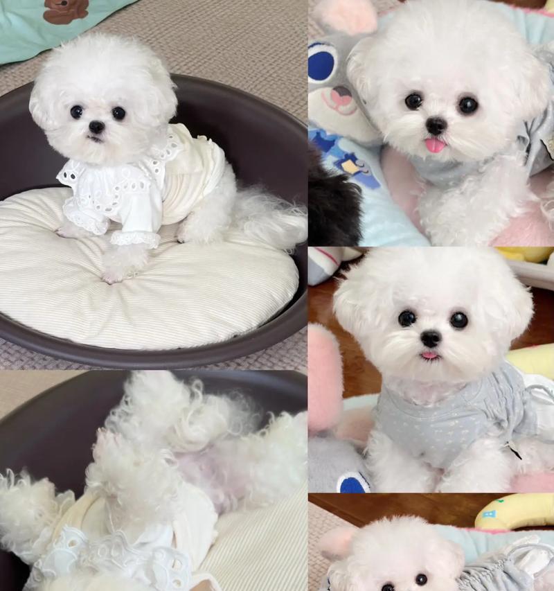 羊水破了后多久能分娩？解析影响产程时长的关键因素