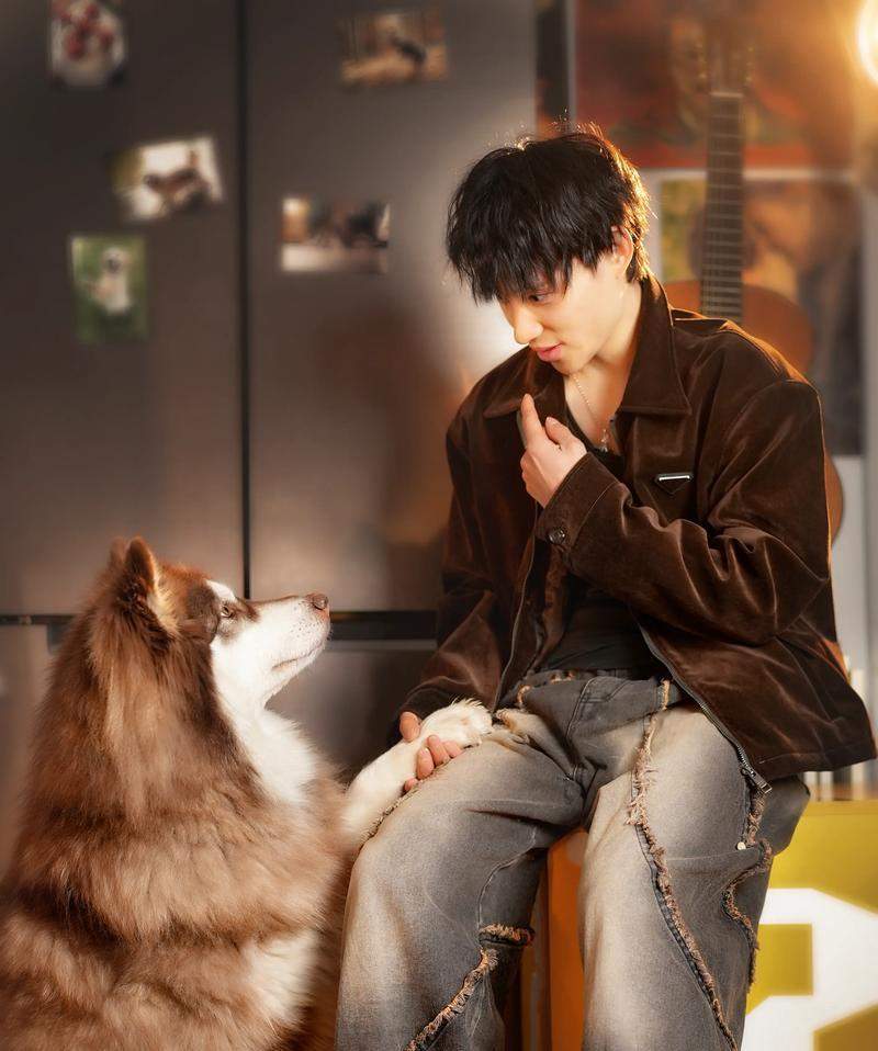 阿拉斯加犬正确喂养技巧与健康饮食方法指南 阿拉斯加犬正确喂养技巧与健康饮食方法指南