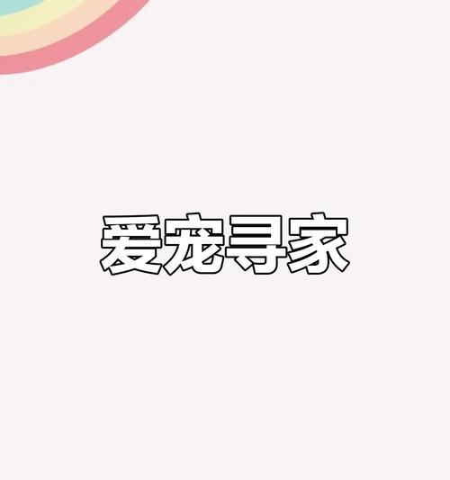 狗狗驱虫与疫苗接种全流程指南,守护宠物健康 狗狗驱虫与疫苗接种全流程指南,守护宠物健康