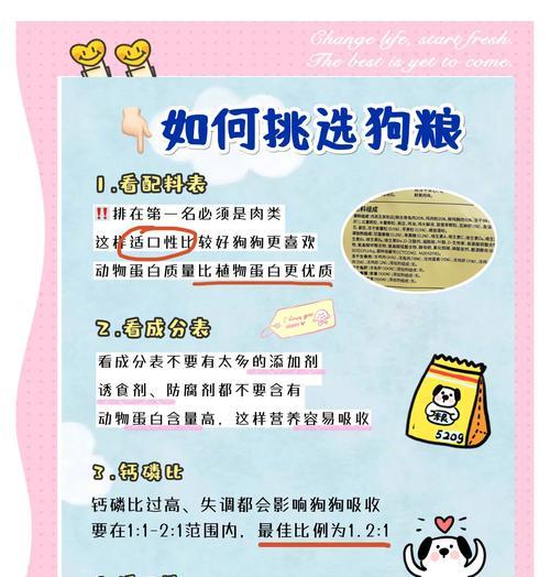 阿拉斯加犬换食硬狗粮的正确指南与关键要点