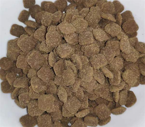 益生菌猫粮成分深度解析:肠胃敏感猫咪如何选择适合的猫粮 益生菌猫粮成分深度解析:肠胃敏感猫咪如何选择适合的猫粮