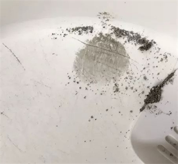 矿砂猫砂使用体验测评:除臭效果与清理便捷性如何平衡 矿砂猫砂使用体验测评:除臭效果与清理便捷性如何平衡