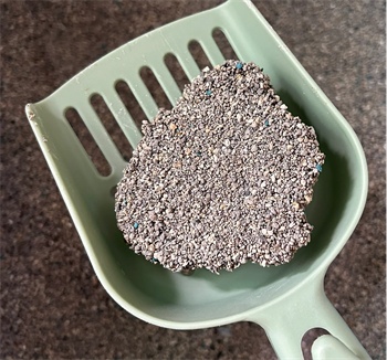 矿砂猫砂使用体验测评:除臭效果与清理便捷性如何平衡 矿砂猫砂使用体验测评:除臭效果与清理便捷性如何平衡