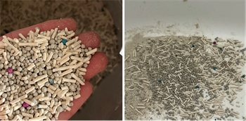 豆腐猫砂优缺点深度测评:性价比高但粉尘与结团问题明显 豆腐猫砂优缺点深度测评:性价比高但粉尘与结团问题明显