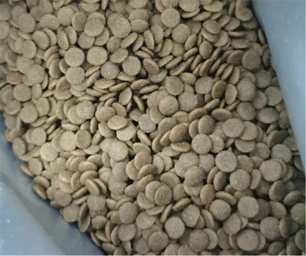 高蛋白无谷猫粮如何选？适口性与营养均衡深度解析