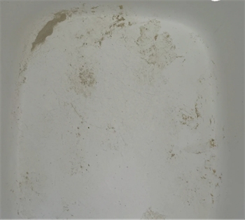 豆腐猫砂优缺点深度测评:性价比高但粉尘与结团问题明显 豆腐猫砂优缺点深度测评:性价比高但粉尘与结团问题明显