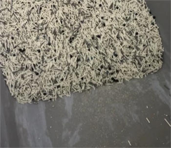 高性价比除臭豆腐猫砂测评，结团与除臭效果实测分析