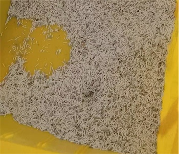 混合猫砂性价比测评:结团出色但除臭存短板 混合猫砂性价比测评:结团出色但除臭存短板