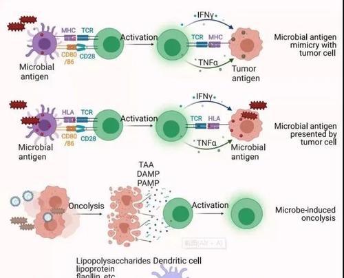 关节疼痛治疗新选择:使用指南与注意事项详解 关节疼痛治疗新选择:使用指南与注意事项详解