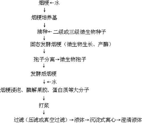 关节疼痛治疗新选择:使用指南与注意事项详解 关节疼痛治疗新选择:使用指南与注意事项详解