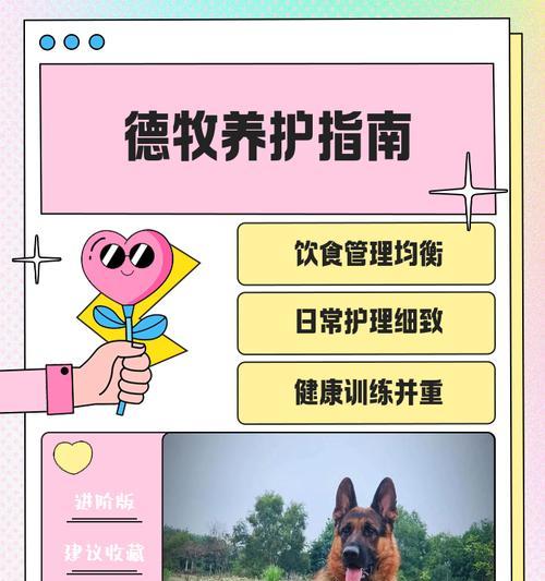 德牧配种后下奶规律与影响因素,科学护理促进泌乳 德牧配种后下奶规律与影响因素,科学护理促进泌乳