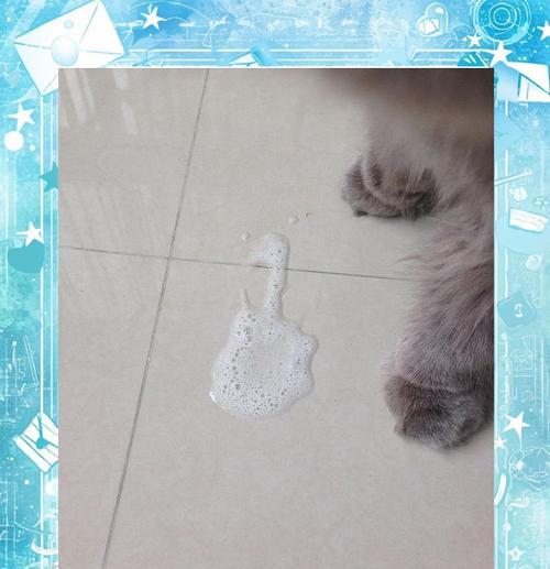猫咪吐猫粮怎么办?肠胃健康与饮食调整全指南 猫咪吐猫粮怎么办?肠胃健康与饮食调整全指南