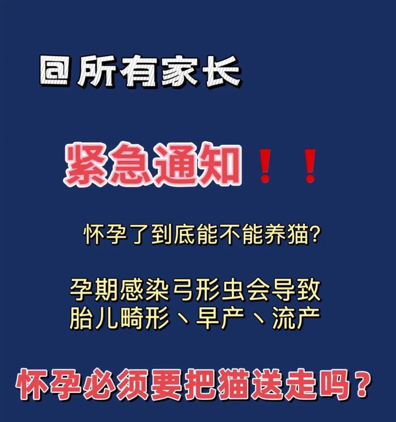 猫咪流产常见原因与有效预防方法,守护孕猫健康 猫咪流产常见原因与有效预防方法,守护孕猫健康
