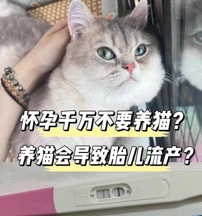 宠物资讯