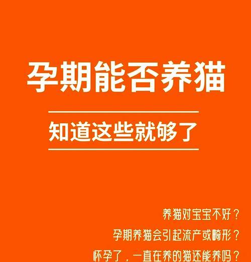 猫咪流产常见原因与有效预防方法,守护孕猫健康 猫咪流产常见原因与有效预防方法,守护孕猫健康